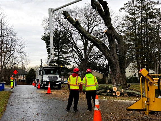 excavation project in Colorado