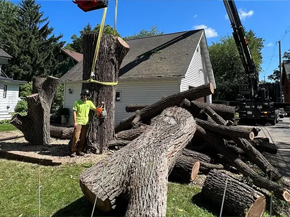 Excavation and grading project