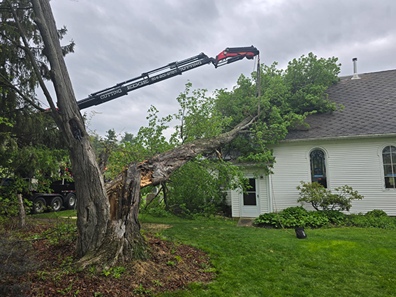 Excavation and grading project