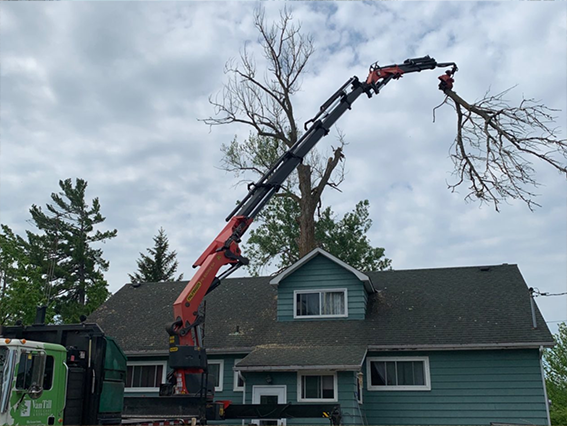 Excavation and grading project