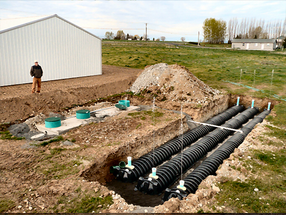 Michael Dotts on homepage