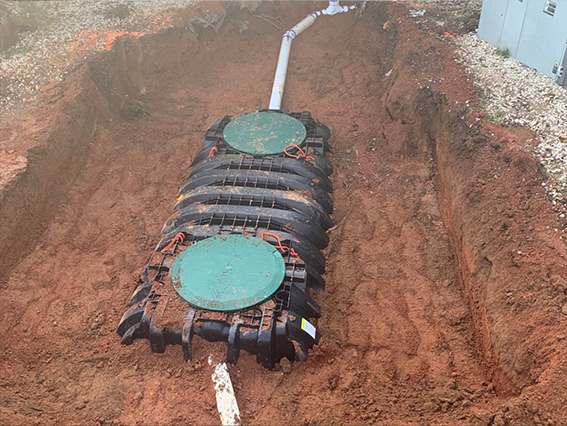 Michael Dotts on homepage