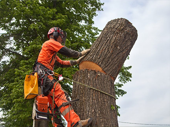 Excavation and grading project
