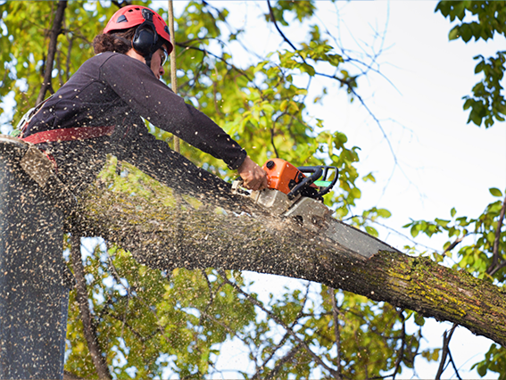 Excavation and grading project