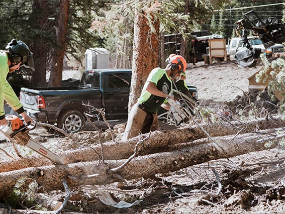 Excavation and grading project