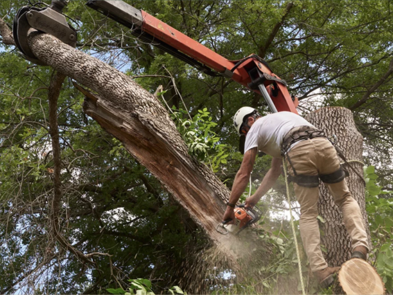 Excavation and grading project