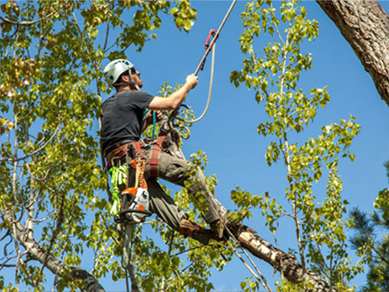 Excavation and grading project